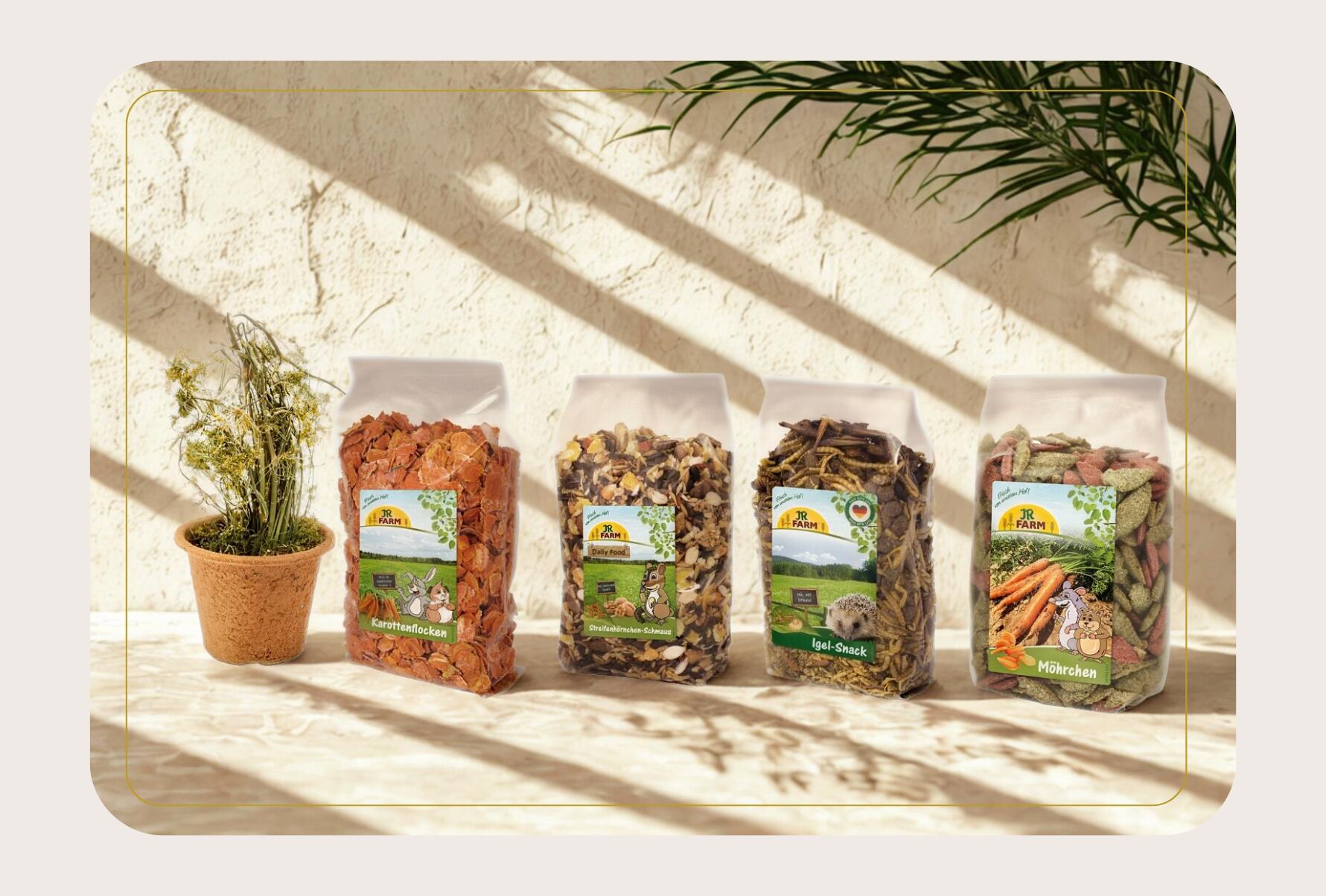 Photoroom 20250216 Photoroom 20250216